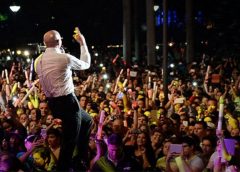 Pitbul 240x172