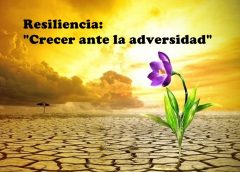 Adversidad 240x172