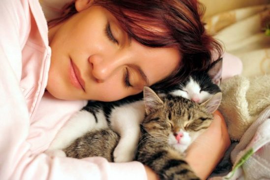 Cuantas horas duerme un gato al día?… Amaygato 549x365