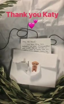 Katy Perry envía una ofrenda de paz a Taylor Swift… Osito 225x365
