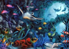 Under Sea 240x172