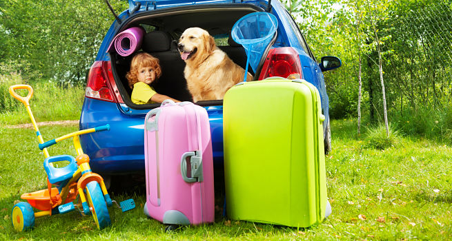 Cosas imprescindibles para viajar con mascotas… Requisitos