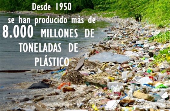 Japón se está ahogando en plástico y anuncia cambio en la normativa de estos productos 1950 560x365