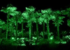 Lights 240x172