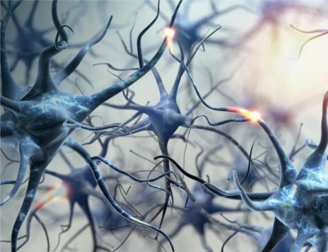 La física explica por que “el tiempo vuela” a medida que nos hacemos mas viejos… Neuronas 475x365
