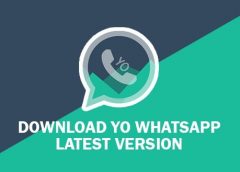 YoWhats 240x172