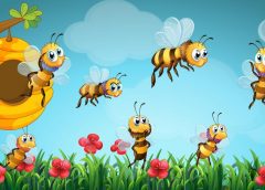 Bees Flying 240x172