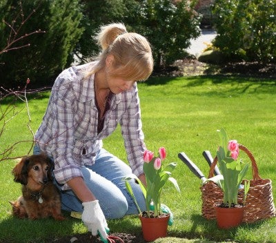 Ideas para aprovechar al máximo las vacaciones en casa... Jardin
