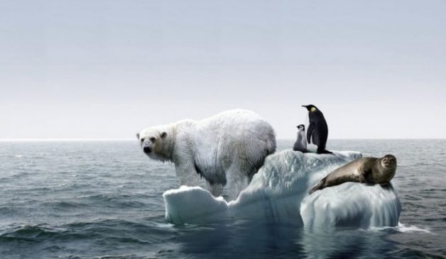 ONU: Temperatura subiría 3,2°C aunque se cumplieran los compromisos y traería "impactos climáticos destructivos”... Risk 628x365
