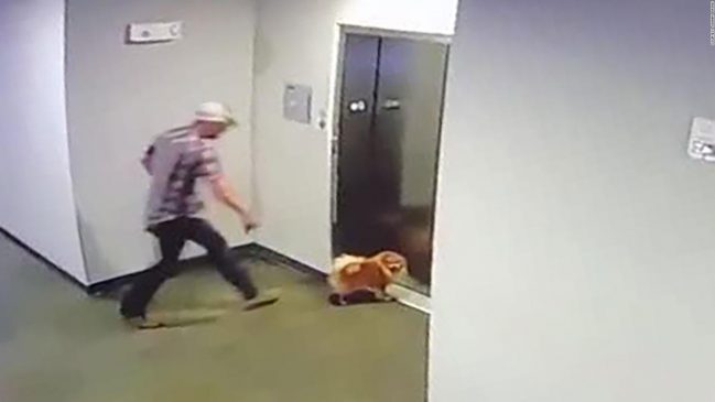 Video: Hombre logra salvar al perro de su vecina después que su cuerda quedara atrapada en el ascensor en Texas... Correa 649x365