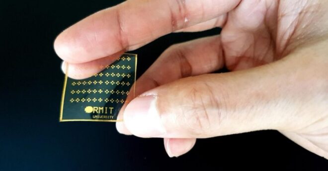 Una nueva piel electrónica reacciona al dolor como la piel humana… RMIT 660x345