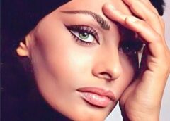 Sof 240x172