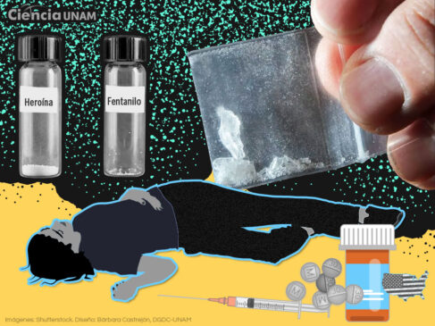 Fentanilo llegó a Colombia: qué es y qué causa esta peligrosa droga “zombie”… Fen2 487x365